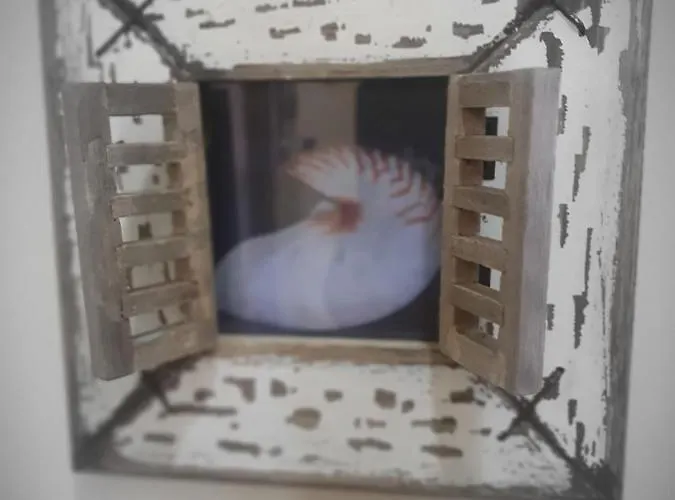 La Finestra Sul Mare 伊斯基亚